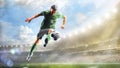 Soccer players in action on the day grand stadium background panorama Royalty Free Stock Photo