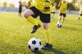 Soccer players on training field on football camp. Kids practice soccer on summer day. Kids participate in sports camp Royalty Free Stock Photo