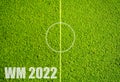 Soccer playing field background grass world cup 2022 from above