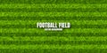 Soccer playing field with green grass. Football pitch background with stripes. Sports ground, stadium with fake or Royalty Free Stock Photo