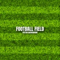 Soccer playing field with green grass. Football pitch background with stripes. Sports ground, stadium with fake or Royalty Free Stock Photo