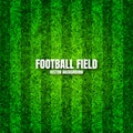 Soccer playing field with green grass. Football pitch background with stripes. Sports ground, stadium with fake or Royalty Free Stock Photo