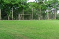Soccer practice field in a club in southern Brazil and the goalkeeper`s post