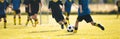 Soccer Practice Game For School Kids. Boys In Football Club In Training Match During Summer Sunny Day. Football Team in Blue