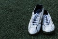 Soccer shoe Royalty Free Stock Photo
