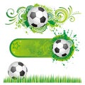 soccer sport