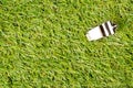 Soccer sports chrome whistle on grass background - penalty, foul or sports concept, top view flat lay from above Royalty Free Stock Photo