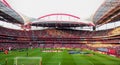 Soccer Stadium, Benfica Football Arena, Real Fans Crowd, Estadio da Luz, Lisbon