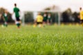 Soccer Stadium Field. Training Field in the Blurred Background Royalty Free Stock Photo