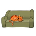 Orange cat sleeping on couch