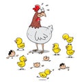 Scared mother chicken protecting chicks after hatching Royalty Free Stock Photo