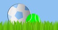 Soccer and Tennis Ball. Refreshing banner. Grass Border.