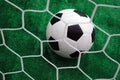 Soccer turf Royalty Free Stock Photo
