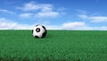 Soccerball on Grass