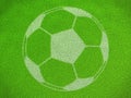 Soccerball on grass