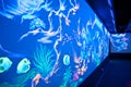 City Oceanarium. City of Sochi, Adler Microdistrict. Interior