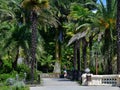 Sochi, Russia - June 5. 2018. Arboretum - unique collection of subtropical flora and fauna