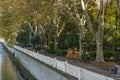 Beautiful autumn view Sochi river embankment with big American Sycamore Tree Platanus occidentalis. Sochi city center Royalty Free Stock Photo