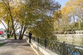 Beautiful autumn view Sochi river embankment with big American Sycamore Tree Platanus occidentalis.