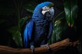 Sociable Hyacinth macaw bird. Generate Ai