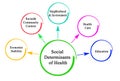 Social Determinants of Health