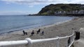 Social distancing on Ballygally beach Antrim Coast Northern Ireland