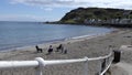 Social distancing Ballygally beach Co Antrim Coast Northern Ireland