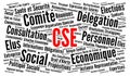 Social and Economic Committee called CSE in France word cloud in french language