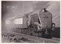 Vintage black and white photo of steam locomotive engine number 60032 Mallard? 1950s