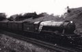 Vintage black and white photo of a steam locomotive train at Potters Bar in 1951