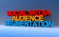 social media audience segmentation on blue