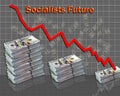 The Socialist Future