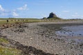 Socially distanced people walking on the shoreline to Lindisfarne Castle Royalty Free Stock Photo