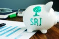 Socially Responsible Investing SRI written on a piggy bank