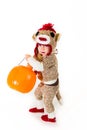 Sock Monkey Halloween Costume Royalty Free Stock Photo