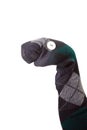 Sock puppet Royalty Free Stock Photo