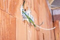 Socket back boxes with wires in a wall. Cabling background. Colorful electrical wires sticking out from electrical sockets hole.