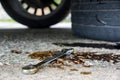 A socket wrench in a pool of oil with a tire