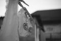 Socks and other clothes are dried on a rope with clothespins, courtyard with buildings, beautiful selective focus, bw