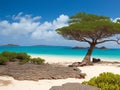 Socotra island, beautiful landscape, wild nature