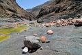 Socotra, Yemen Royalty Free Stock Photo