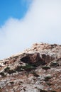 Socotra, Yemen, overview of the Dragon Blood Trees forest in Homhil Plateau Royalty Free Stock Photo