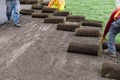 Sod installation on road construction site Royalty Free Stock Photo
