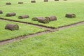 Sod rolls on a grass field