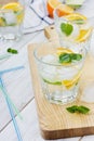 Soda with limes, oranges, lemons, ice and mint