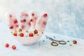 Soda, Raspberry and Thyme Ice Pops Royalty Free Stock Photo
