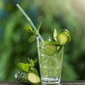 Soda water with cucumber and mint in a glass glass, summer refreshing drink Royalty Free Stock Photo