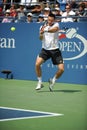 Soderling Robin at US Open (12) Royalty Free Stock Photo