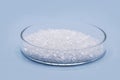 Sodium chloride in petri dish, known as salt or table salt, important food preservative and popular seasoning, isolated on blue