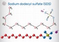 Sodium dodecyl sulfate SDS, sodium lauryl sulfate SLS molecule. It is an anionic surfactant used in cleaning and hygiene